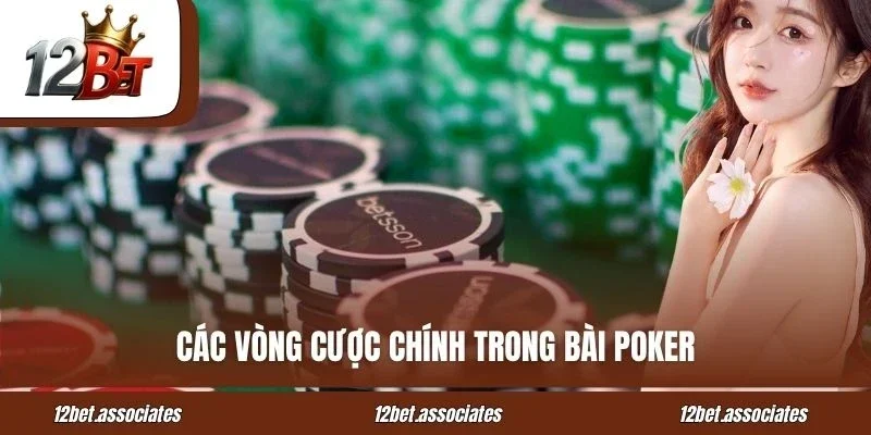 Các vòng cược chính trong bài Poker