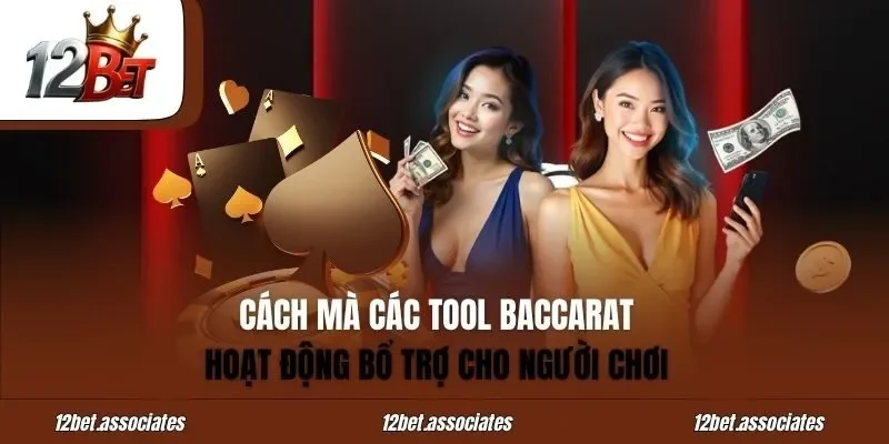 Cách mà các tool Baccarat hoạt động bổ trợ cho người chơi
