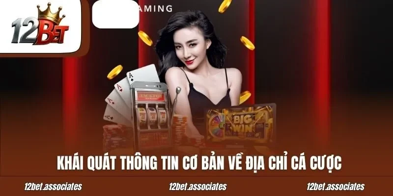 Khái quát thông tin cơ bản về địa chỉ cá cược 12BET