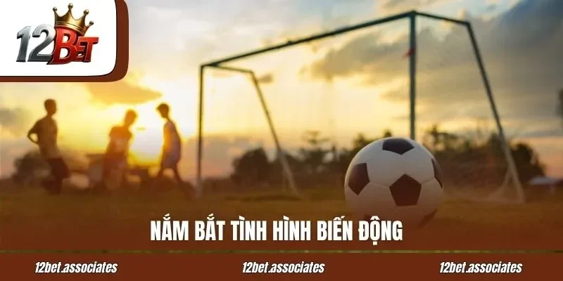 Nắm bắt tình hình biến động