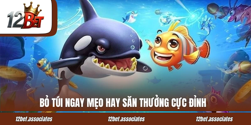 Bỏ túi ngay mẹo hay săn thưởng cực đỉnh