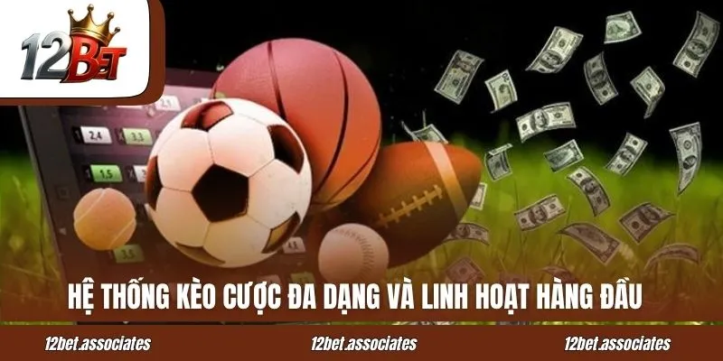 Hệ thống kèo cược đa dạng và linh hoạt hàng đầu